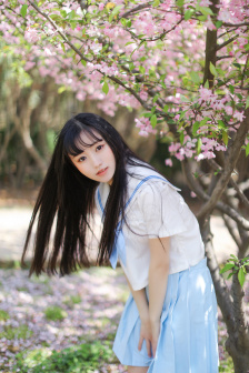 警察荣誉电视剧全集